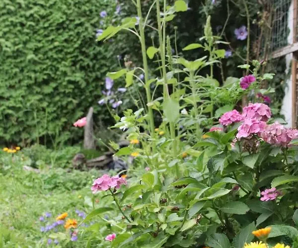 Bad Salzig Albergue *